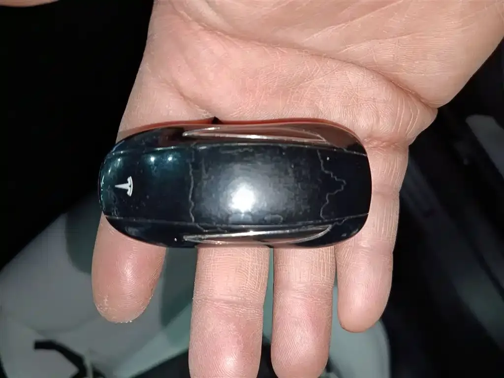 Tesla Model X — фото 4