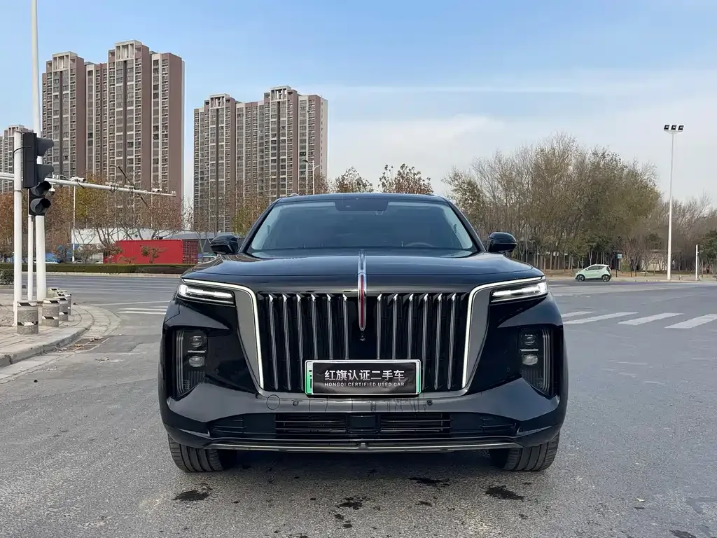 Hongqi E-HS9 — фото 2