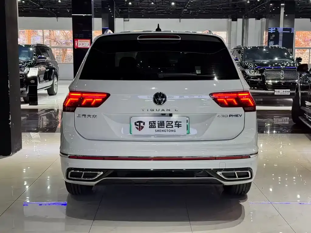 Volkswagen Tiguan L New Energy — фото 6