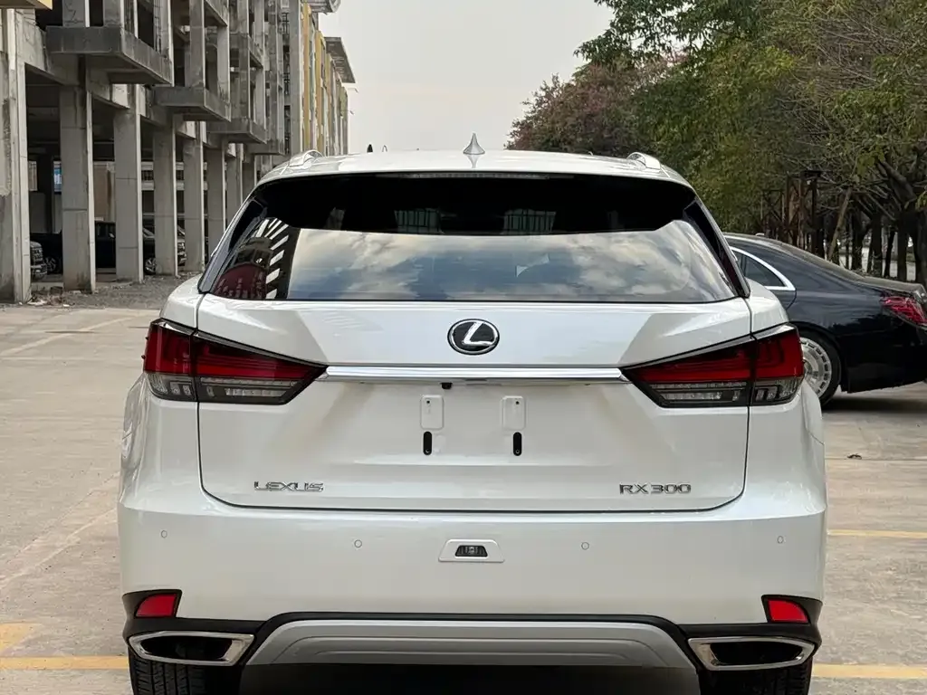 Lexus RX — фото 2