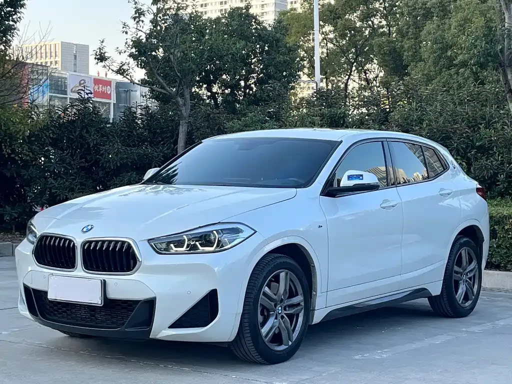 BMW X2 — фото 1