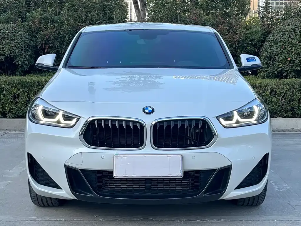BMW X2 — фото 2