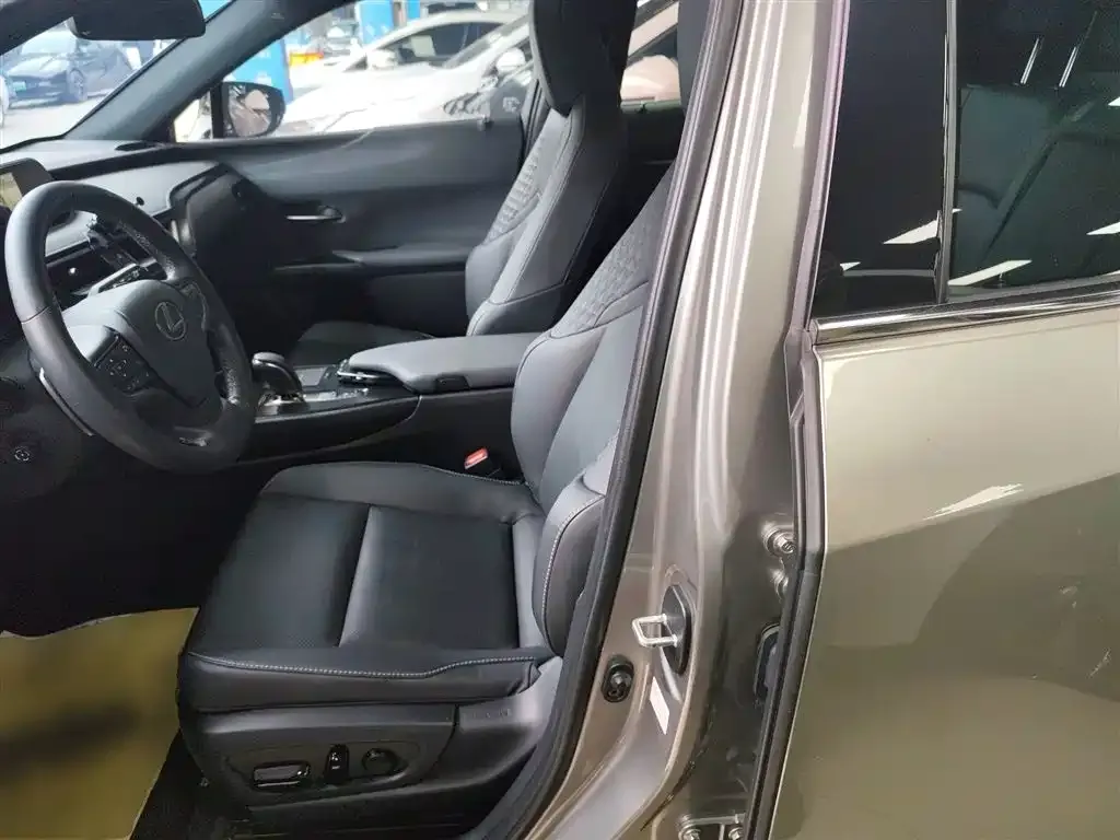 Lexus UX New Energy — фото 7