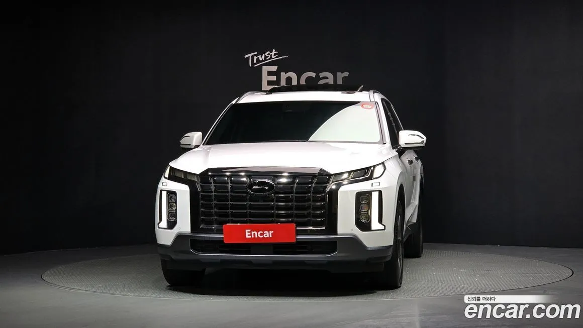 Hyundai Palisade — фото 8