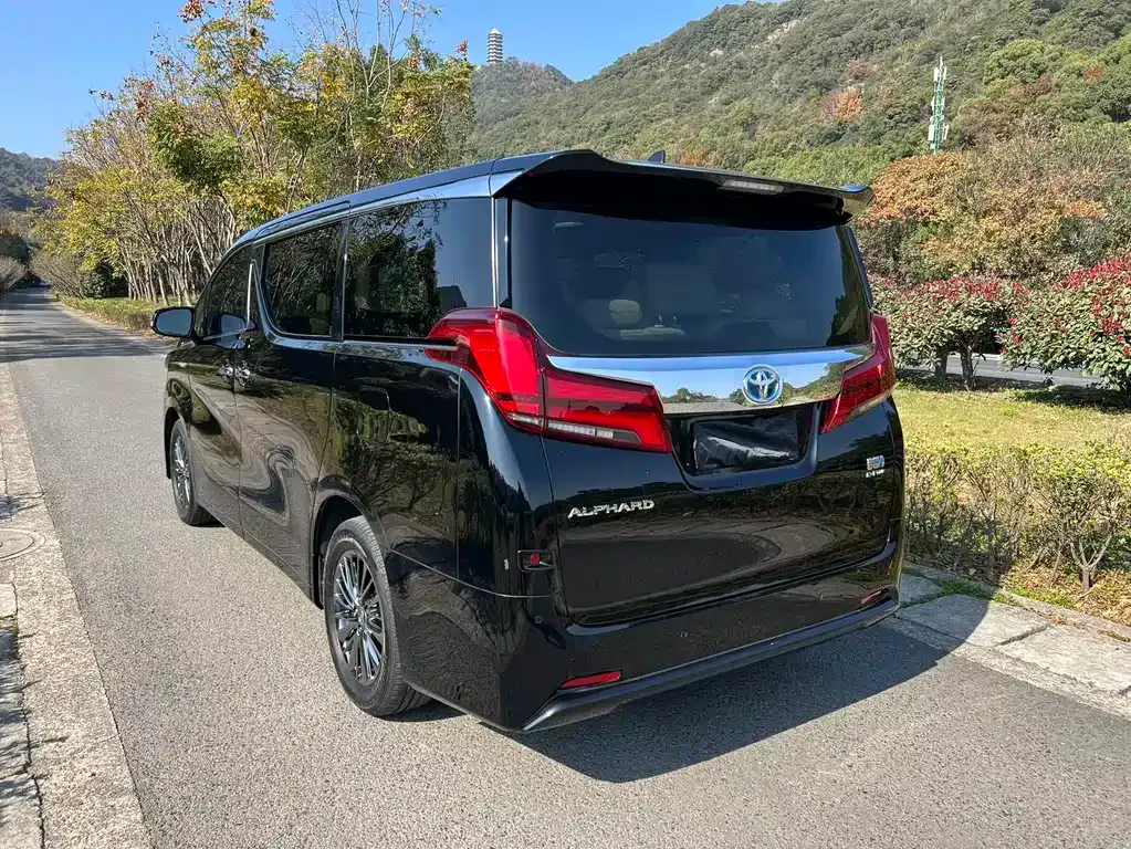 Toyota Alphard — фото 7