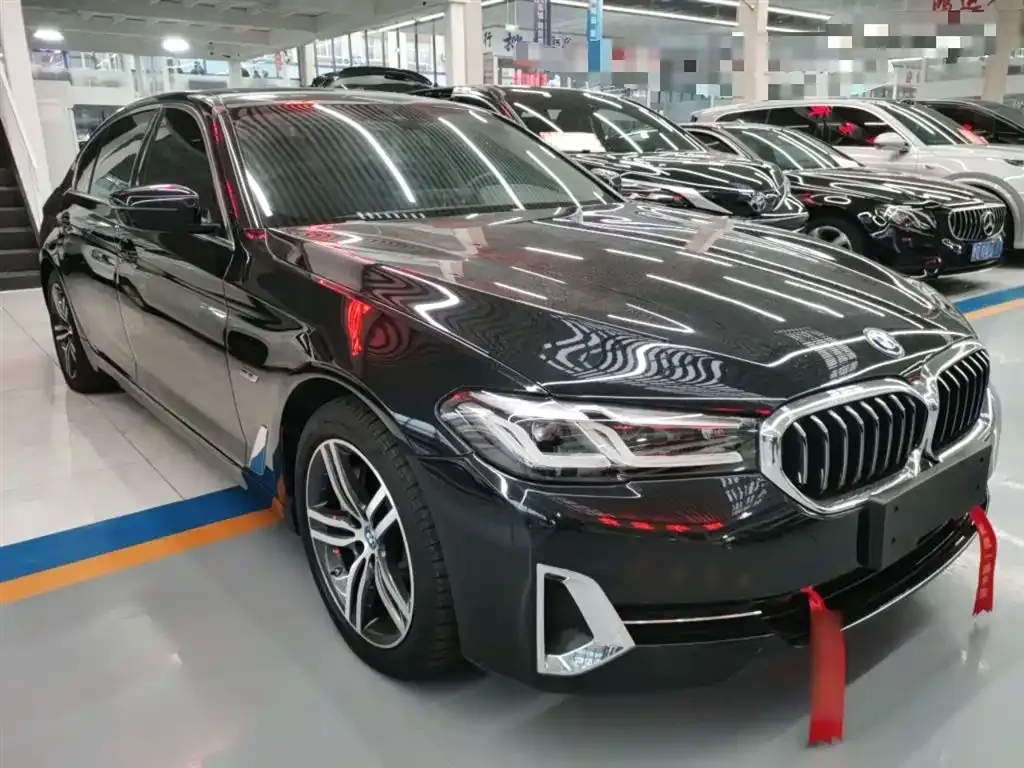 BMW 5 Series New Energy — фото 6