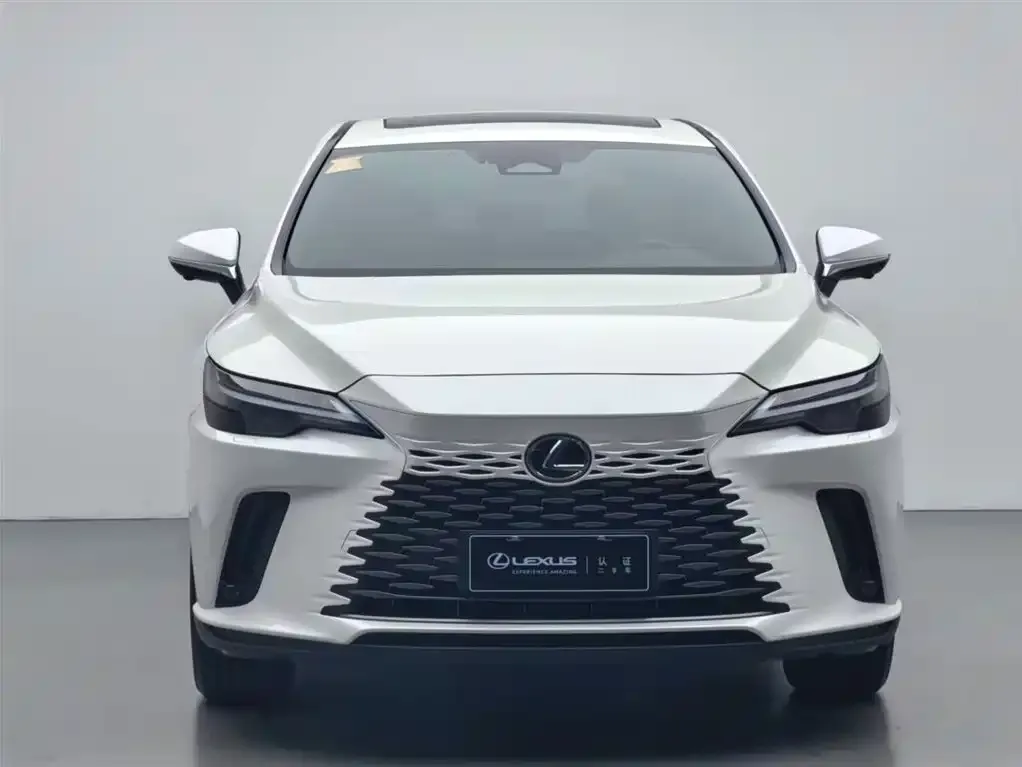 Lexus RX — фото 9