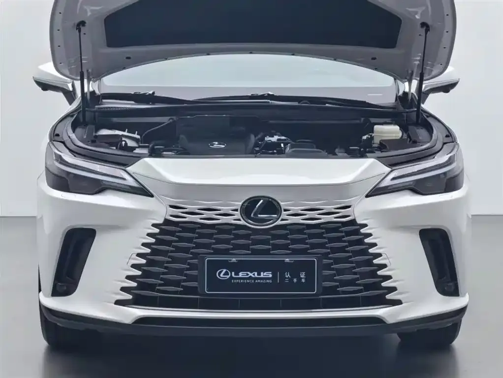 Lexus RX — фото 3