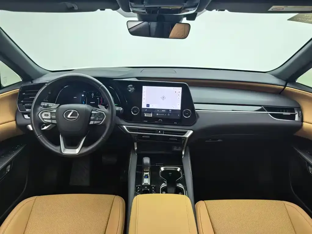 Lexus RX — фото 10