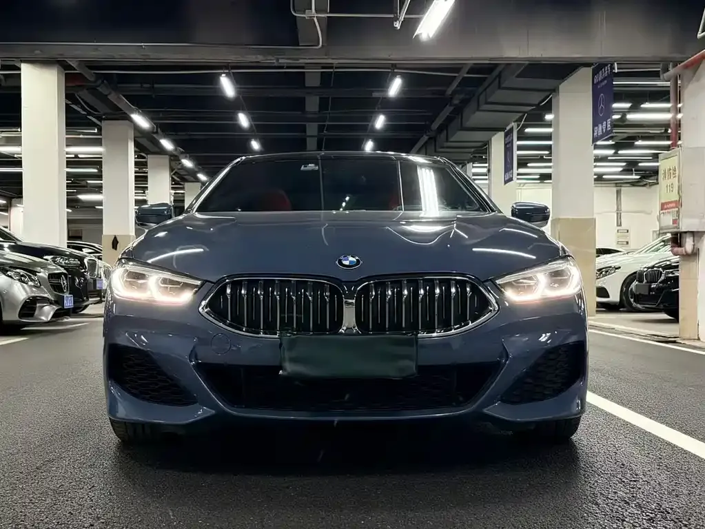 BMW 8 Series — фото 9