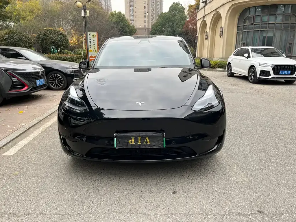 Tesla Model Y — фото 2