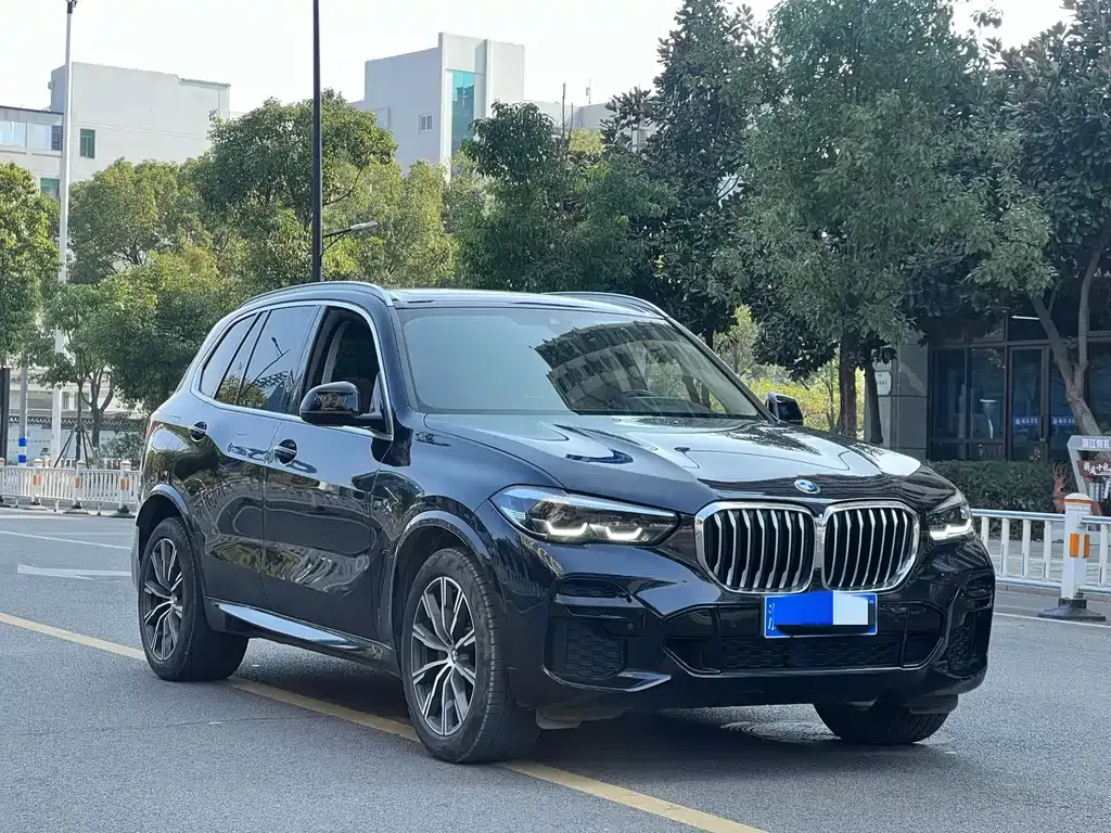 BMW X5 (Import) — фото 5