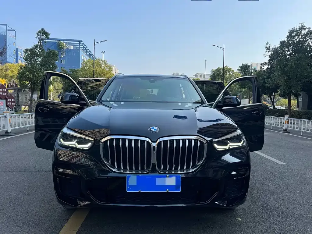 BMW X5 (Import) — фото 6