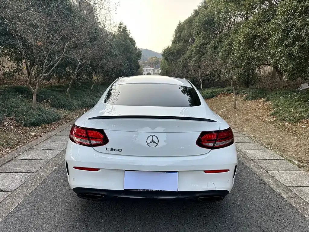 Mercedes-Benz C-Class (Import) — фото 10