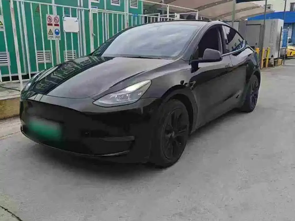 Tesla Model Y — фото 1