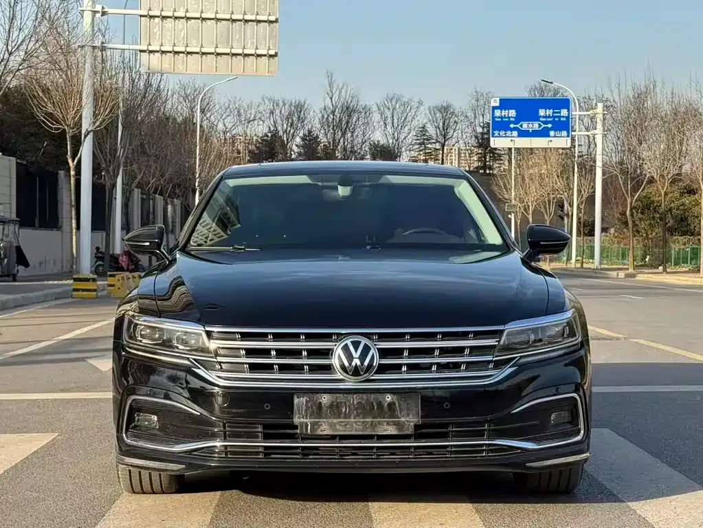 Volkswagen Phideon — фото 8