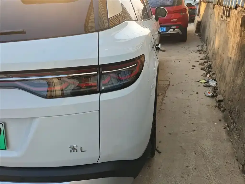 BYD L DM-i — фото 4