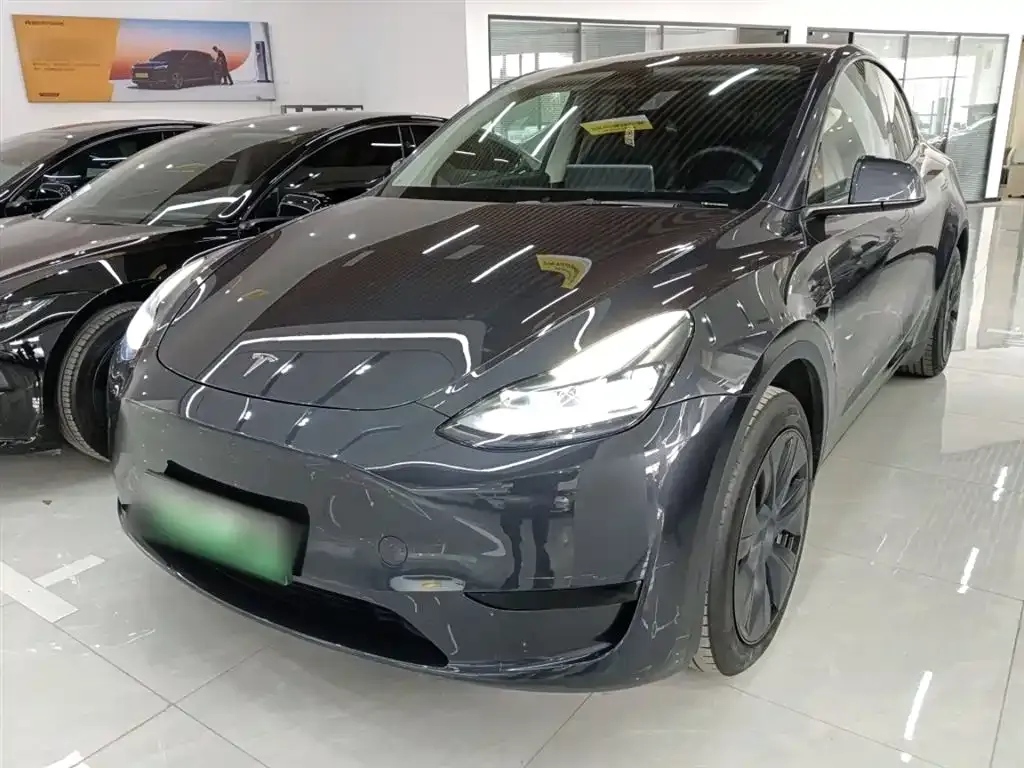Tesla Model Y — фото 1