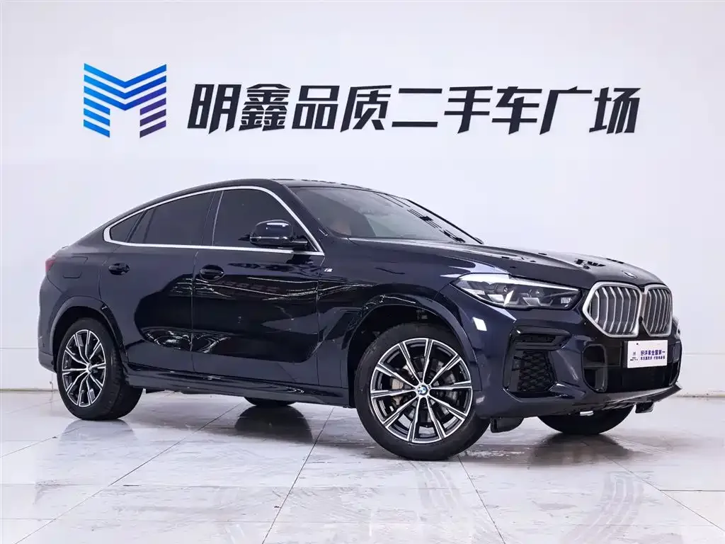 BMW X6 — фото 9