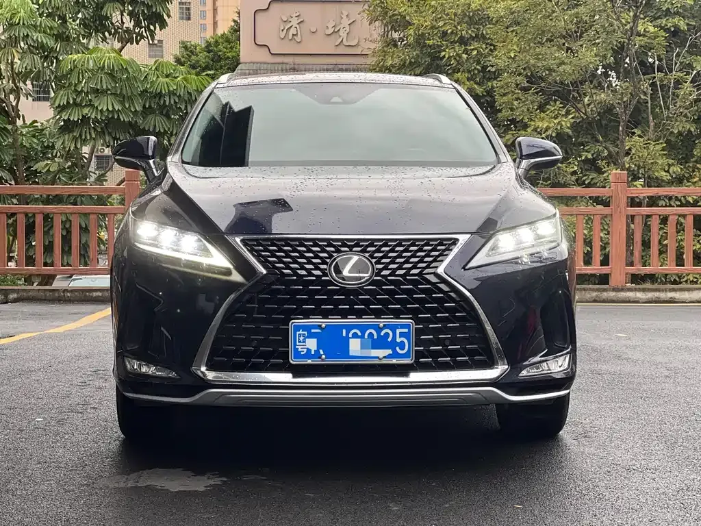 Lexus RX — фото 6