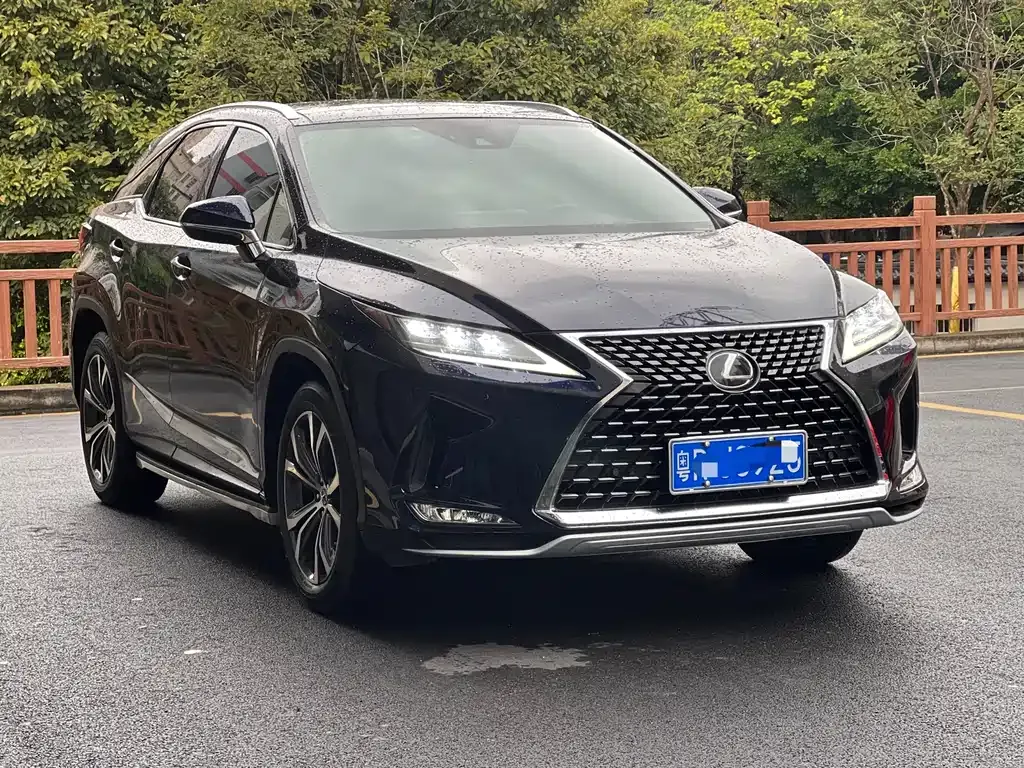 Lexus RX — фото 8