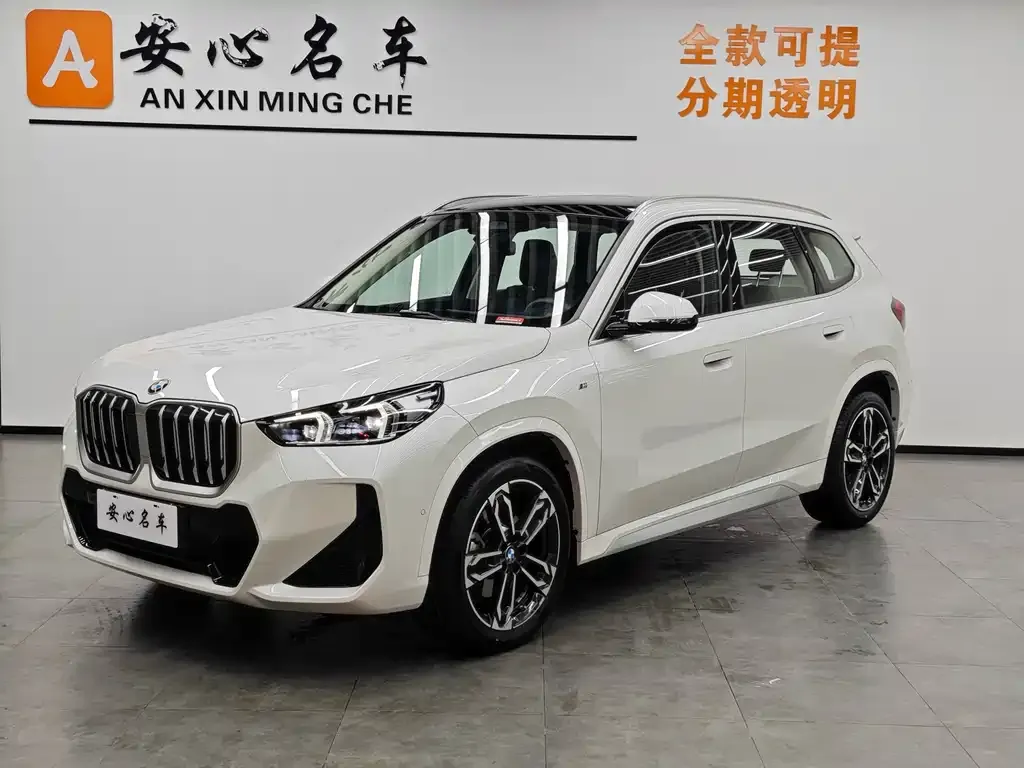 BMW X1 — фото 1