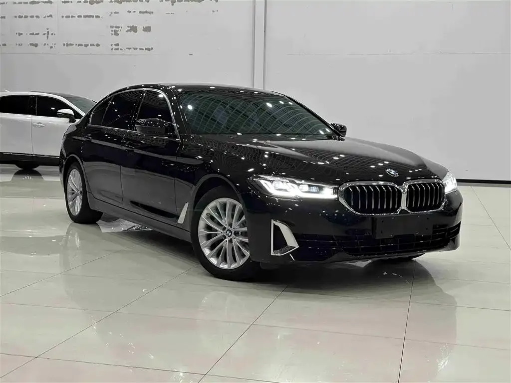 BMW 5 Series New Energy — фото 4
