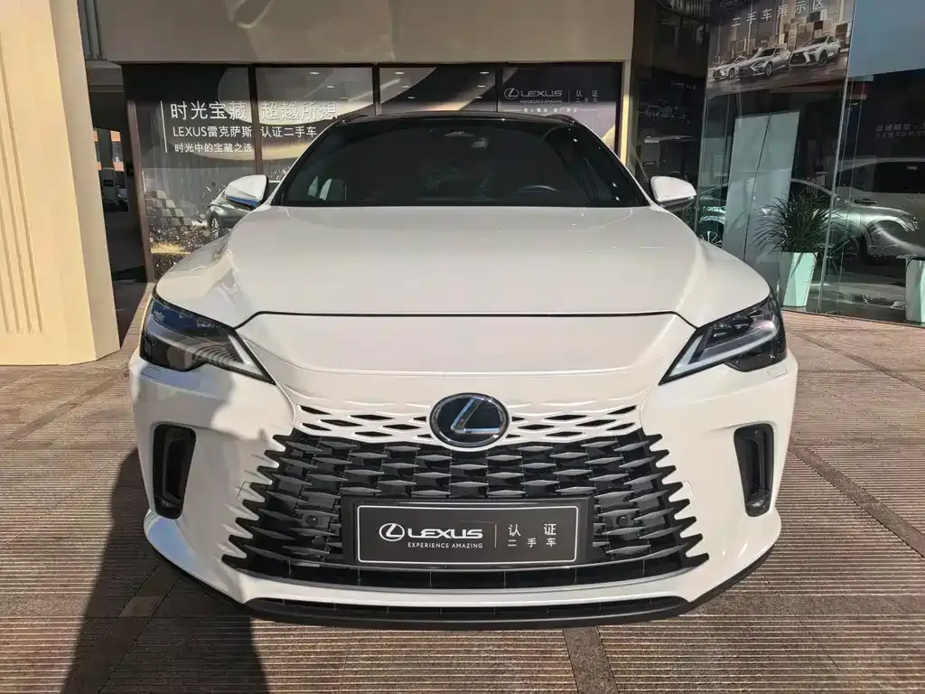 Lexus RX New Energy — фото 6