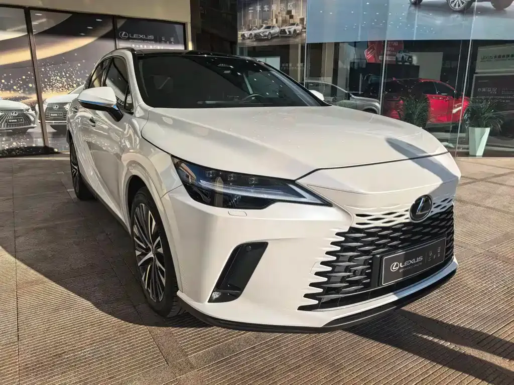 Lexus RX New Energy — фото 7