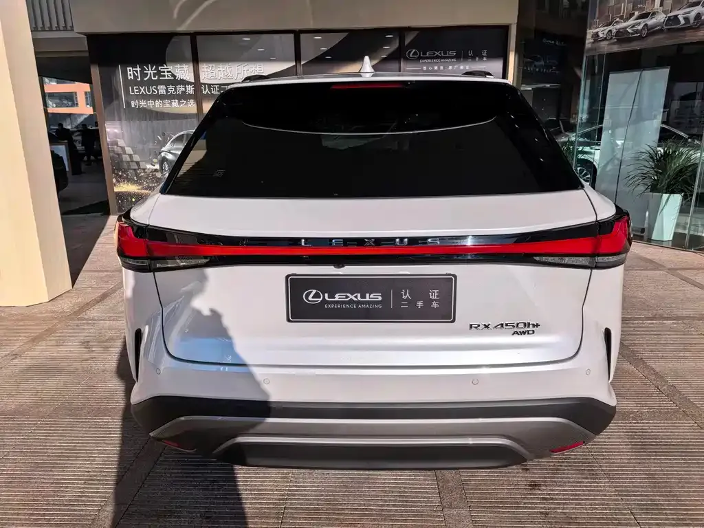 Lexus RX New Energy — фото 10
