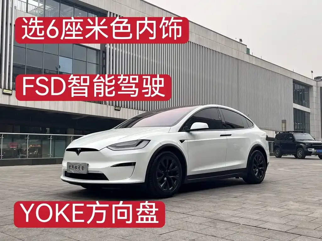 Tesla Model X — фото 4