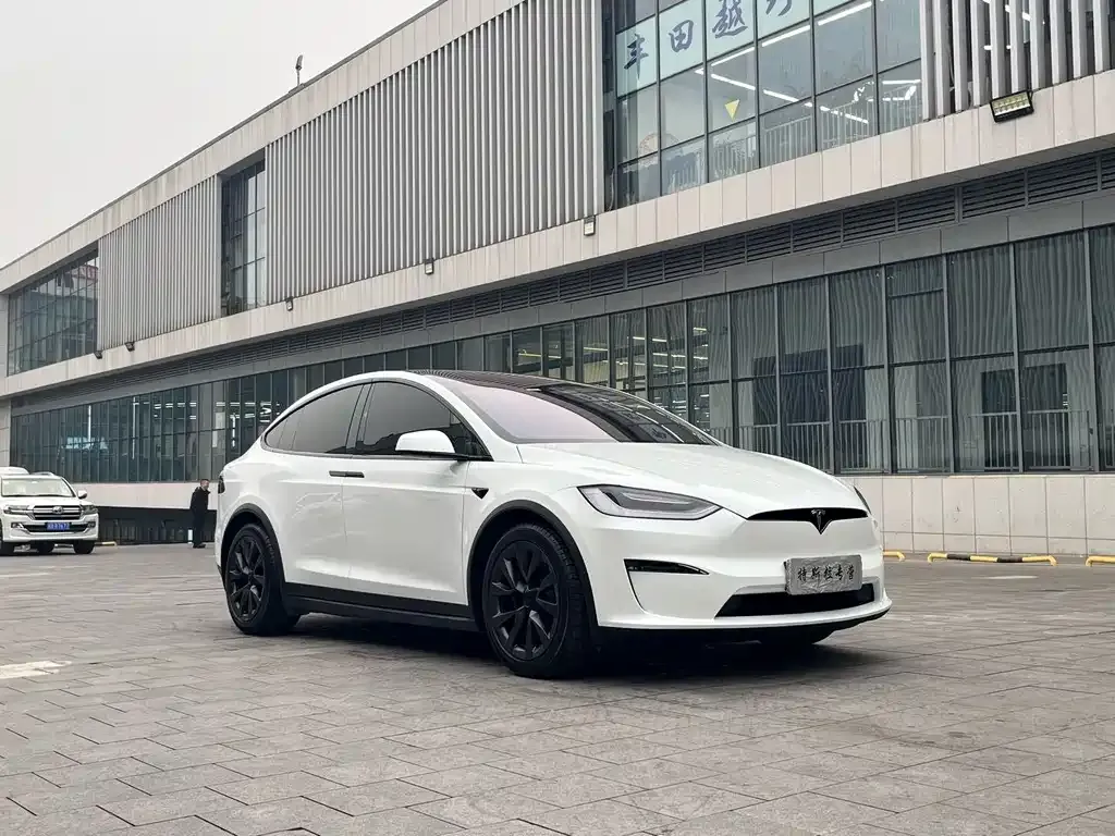 Tesla Model X — фото 10