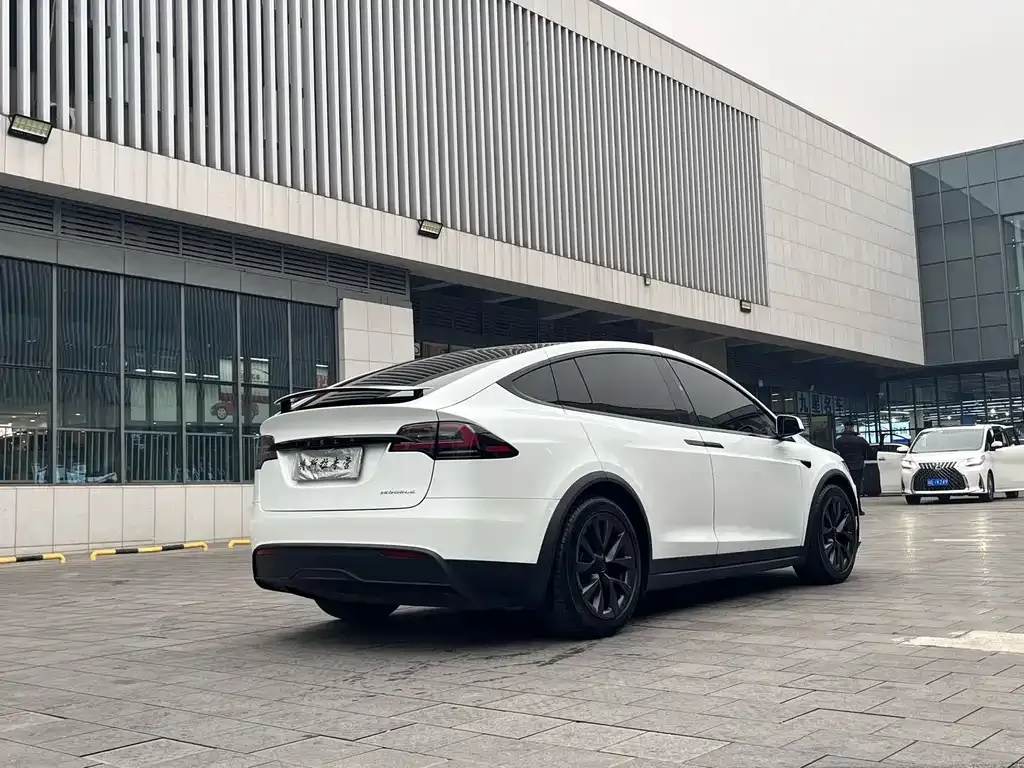 Tesla Model X — фото 6