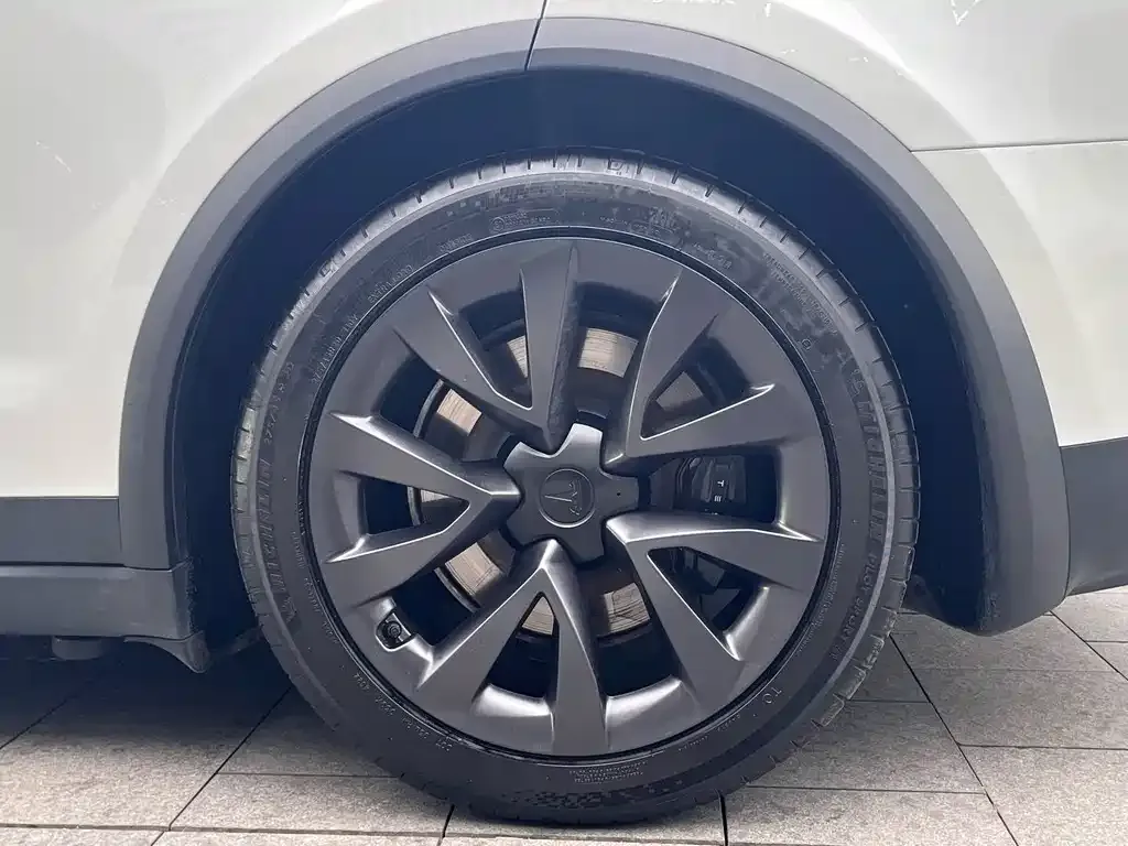 Tesla Model X — фото 8