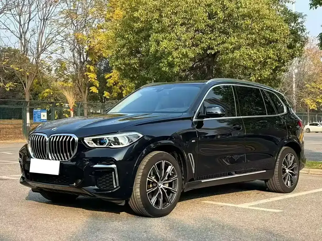 BMW X5 — фото 1