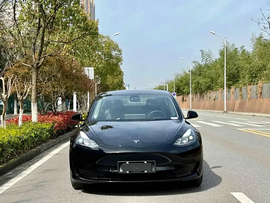 Tesla Model 3 — фото 2