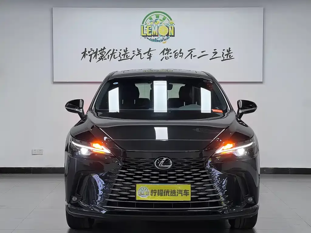 Lexus RX — фото 9