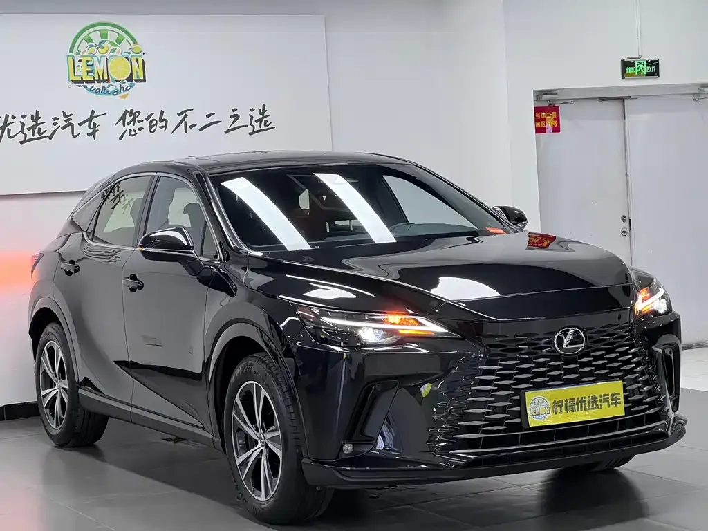 Lexus RX — фото 10