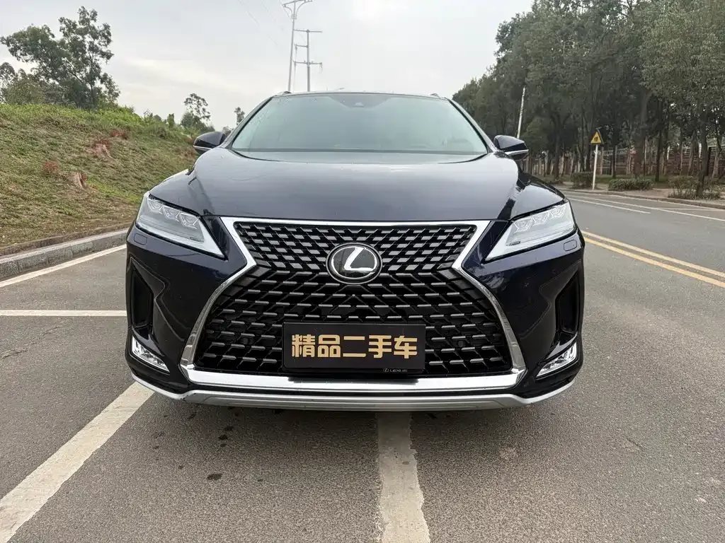 Lexus RX — фото 10