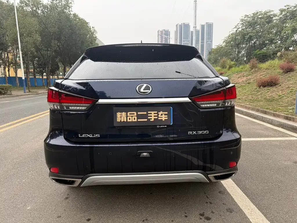 Lexus RX — фото 9