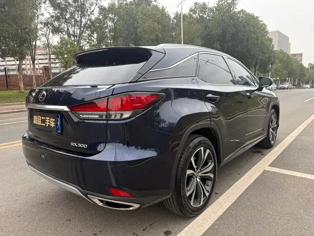 Lexus RX — фото 8