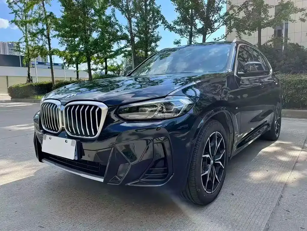 BMW X3 — фото 1