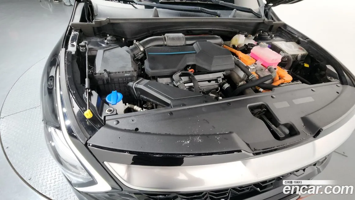 Kia Sportage — фото 5