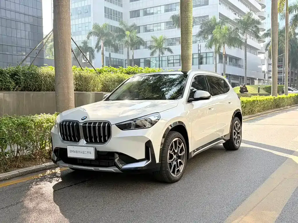 BMW X1 — фото 1