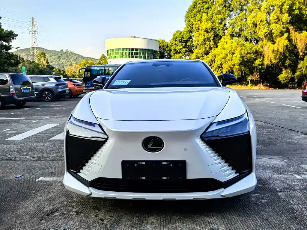 Lexus RZ — фото 6