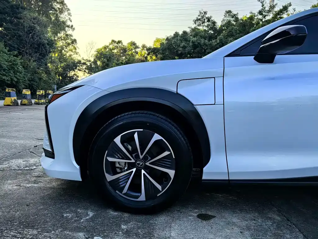 Lexus RZ — фото 4