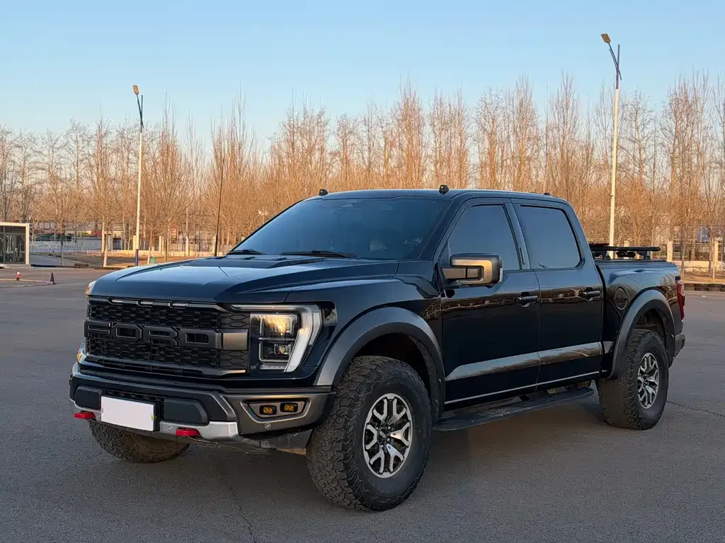 Ford F-150 Raptor — фото 1