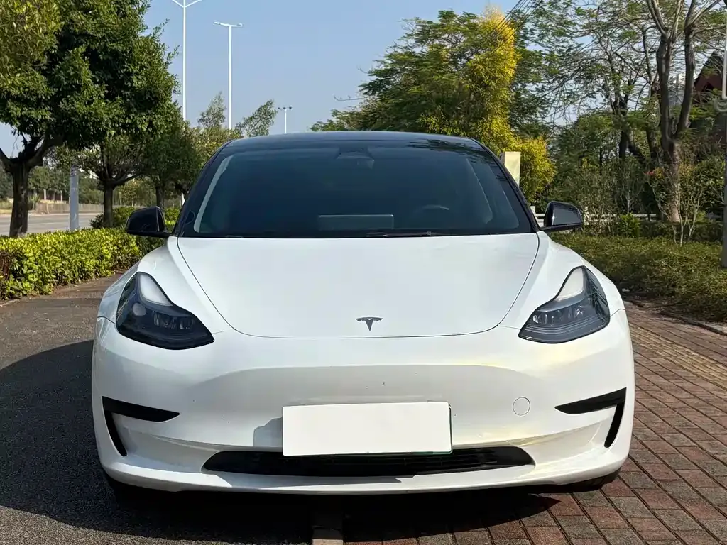 Tesla Model 3 — фото 2