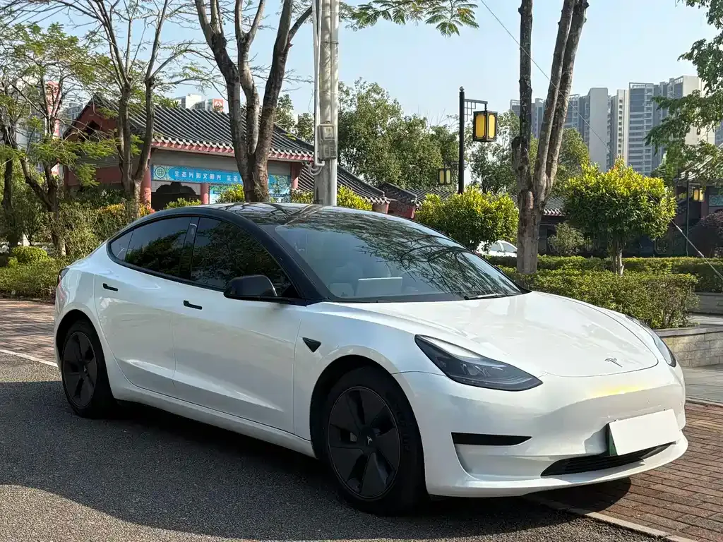 Tesla Model 3 — фото 3