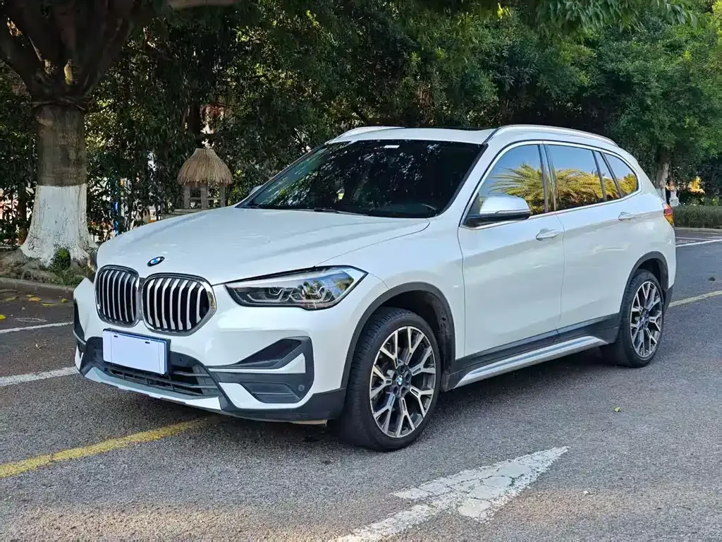 BMW X1 — фото 1